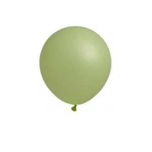 Sarorra party Latex Balloons 12 inch