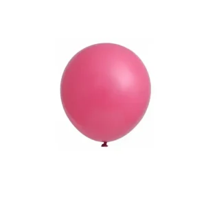 Sarorra party Latex Balloons 12 inch