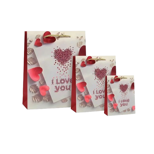 party gift bag , gift paper bag printed gift bag