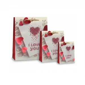 Party gift Bag 3sizes