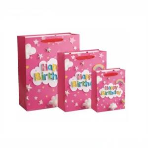 Party gift Bag 3sizes