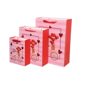 Party gift Bag 3sizes