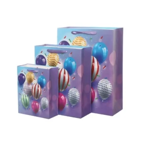 Party gift Bag 3sizes